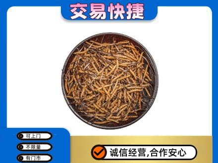 曲靖回收散虫草